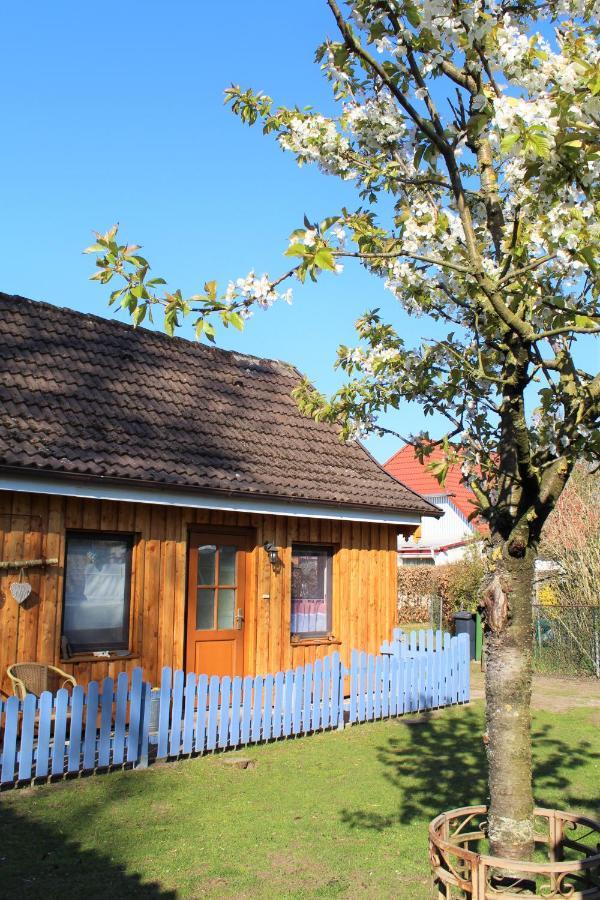 Ferienhaus/Ferienwohnung Reinecke Hodenhagen Eksteriør billede